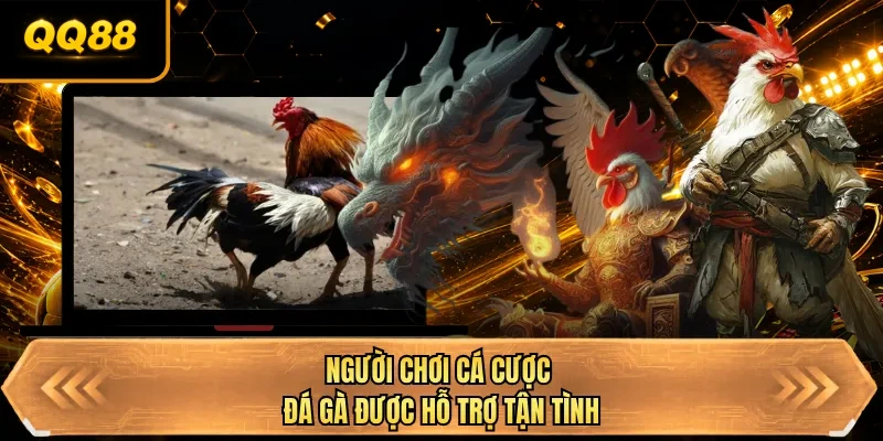 nguoi choi ca cuoc da ga duoc ho tro tan tinh