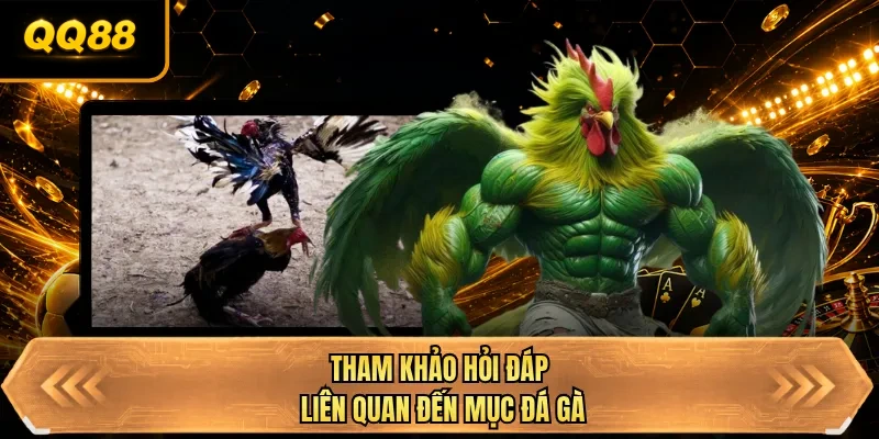 tham khao hoi dap lien quan den muc da ga